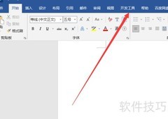 Word插入文本控件方法
