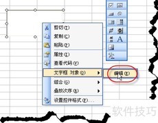 EXCEL控件隐藏文本技巧