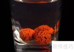 金刚菩提选购指南