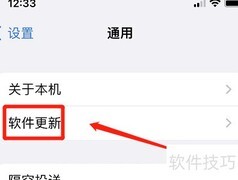 苹果11系统维护解决方法