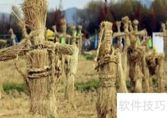 老鹰抓土鸡？真相曝光