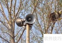 老鹰抓土鸡？真相曝光