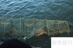 用地笼捕鱼全攻略