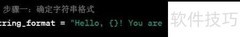 Python format()函数用法解析