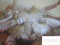 河蟹食用安全判断方法