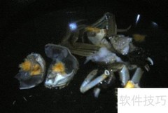 河蟹炖土豆做法