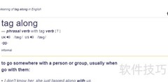 Tag Along是什么意思