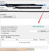 SVN标签打包实战指南