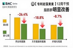 十大护肝片推荐！2026年降低转氨酶护肝片优选：应酬族、高净值人群专属方案