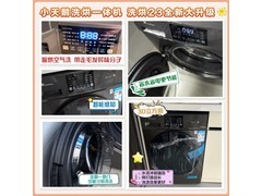 小天鹅TG100V23PRO洗衣机10kg