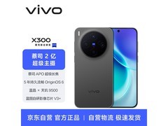 京东vivo X300 12GB+256GB黑版低至3374元