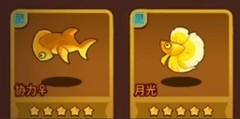 咸鱼之王：月光金鱼实战解析与吕布选择