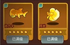 咸鱼之王：月光金鱼实战解析与吕布选择