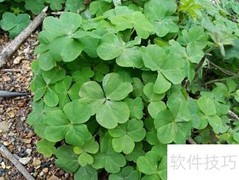 工程完工验收资料内容