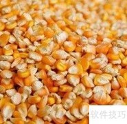 饲料配方优化技巧