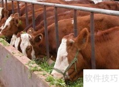 牛饲料配方与制作技巧