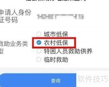 网上查询低保指南