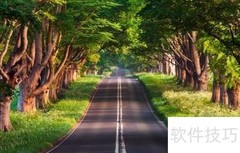 看电视与手机：哪个更伤眼？