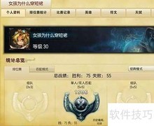 比尔吉沃特玩法全解析