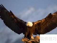 展鹏的寓意与起源解析