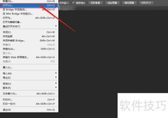 如何使用首选项中的cursor功能