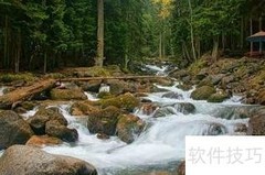 司考试题分析技巧