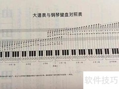 高八度与低八度的含义解析