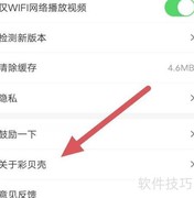 彩贝壳查看授权建议书指南