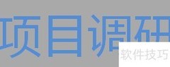 软件项目立项指南