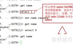 Redis多库命令使用指南