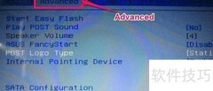 华硕P5QL Pro IDE硬盘设置