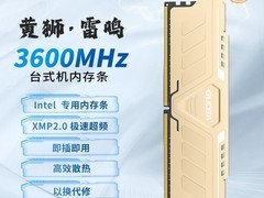 拼多多百亿补贴！固德佳16GB内存直降