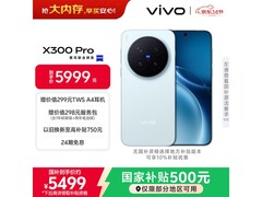 vivo X300 Pro自在蓝5G手机