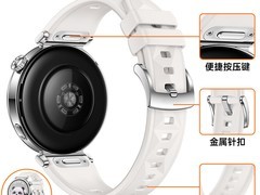 华为GT6星光色氟橡胶表带