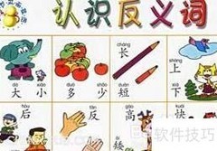 如何判断词语是否为反义词