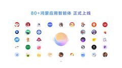 AI 时代，鸿蒙给开发者发了张「新船票」