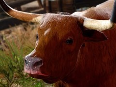 AI配音冲击行业：演员与玩家共护游戏表演艺术