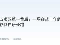 五项双第一背后：一场穿越十年的存储自研长跑