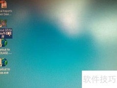 ERP外挂操作指南