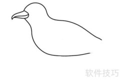 海鸥简笔画分步教学