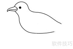 海鸥简笔画分步教学