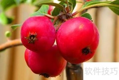 开水果店全攻略