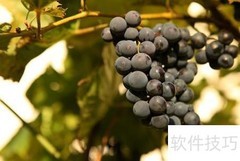 今年水果店生意好做吗