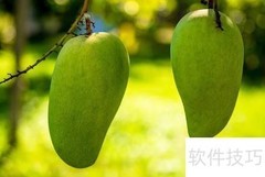 开水果店赚钱吗？前景分析