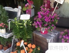 花店经营秘诀：从选址到盈利