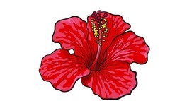 花店名字创意精选