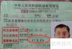 C1证和驾照需一起考吗