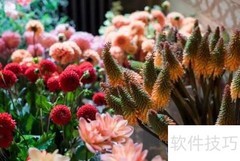 花店创业指南：从零开始