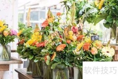 花店创业指南：从零开始