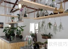 花店创业指南：从零开始